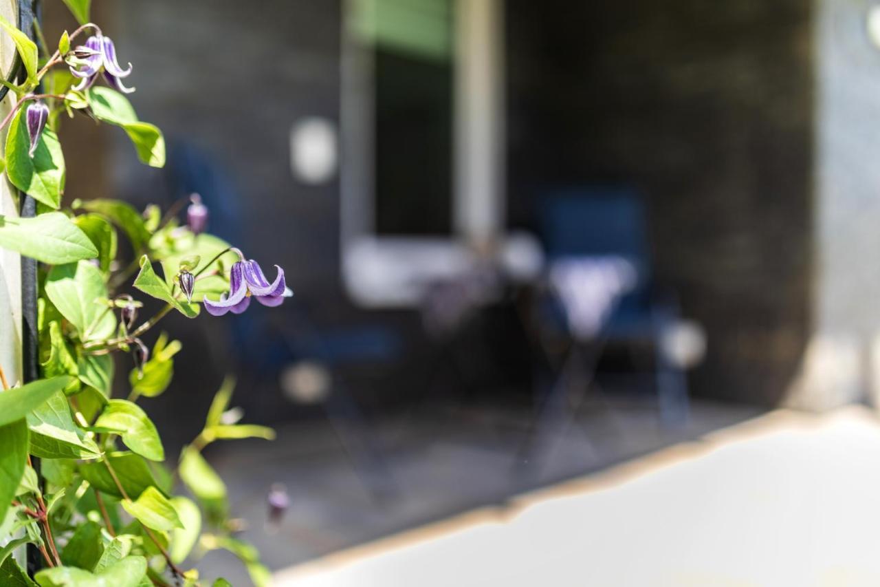 Ferienwohnung Moselpanorama Traben-Trarbach Zewnętrze zdjęcie